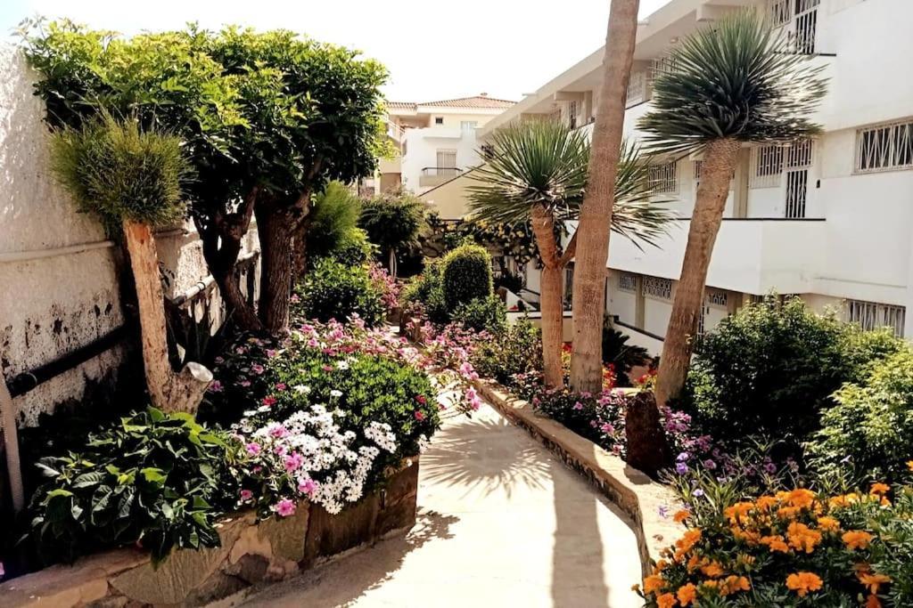 Apartment With Large Terrace, 10 Meters From Playa De Las Burras San Bartolomé Exterior photo